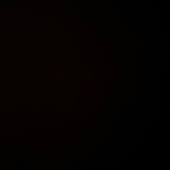 Meet your Posher, Morgan - Picture 1 of 1